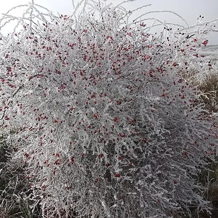 Tres Horreos Felechas