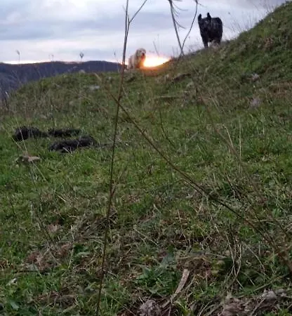 Tres Horreos Holiday home Felechas