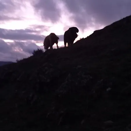 Tres Horreos Holiday home Felechas