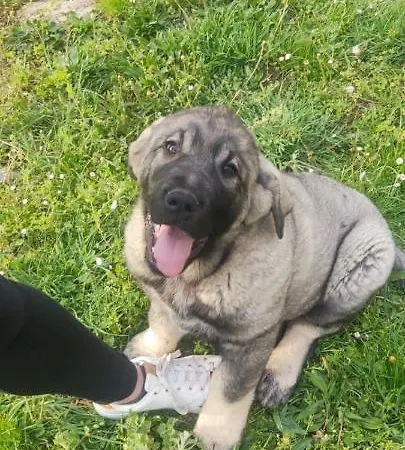 Tres Horreos Holiday home