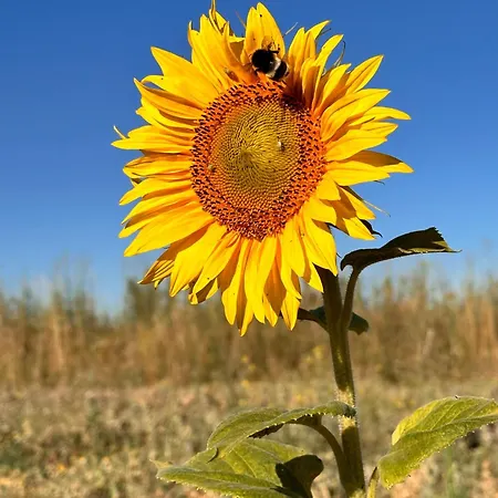 Holiday home Tres Horreos Felechas