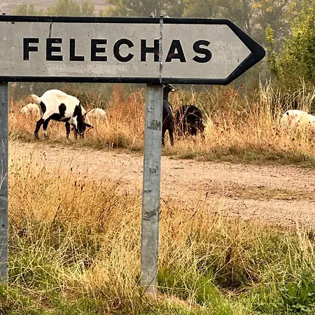 Tres Horreos * Felechas