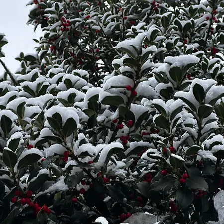 Tres Horreos * Felechas