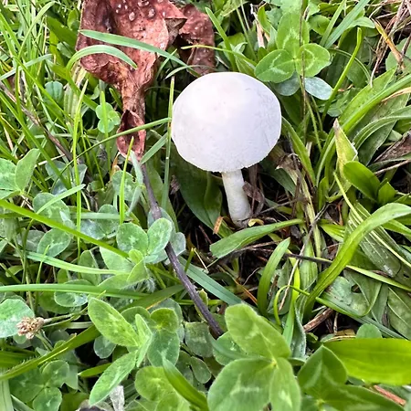 Holiday home Tres Horreos *