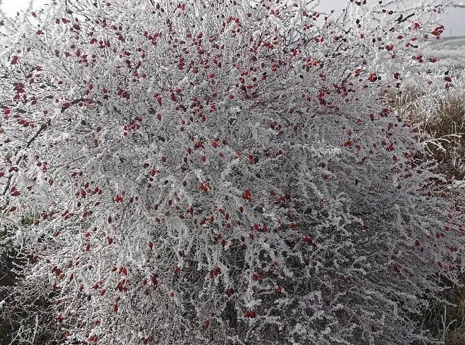 Tres Horreos Felechas