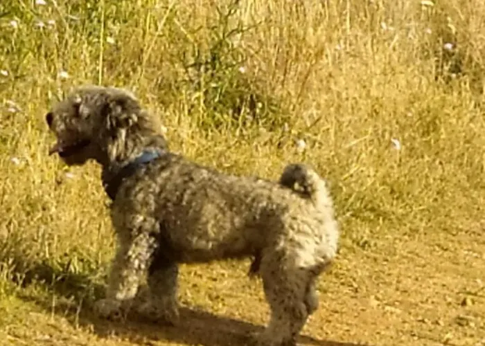 Tres Horreos Nyaraló Felechas