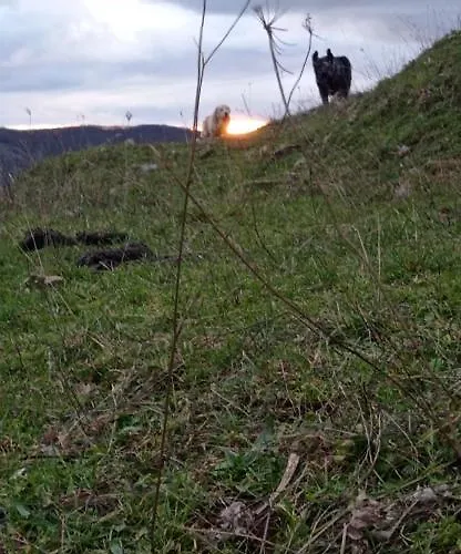 Tres Horreos Nyaraló Felechas
