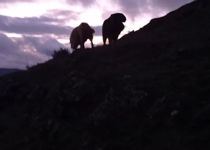 Tres Horreos Nyaraló Felechas