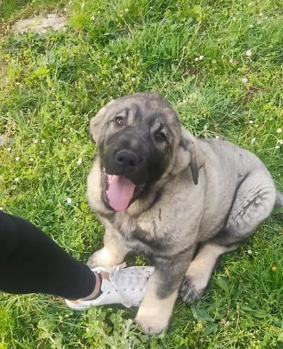 Tres Horreos Nyaraló