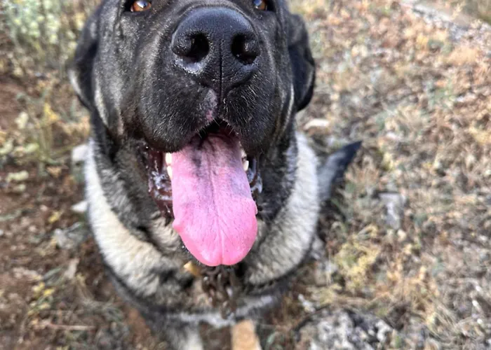 Tres Horreos Felechas