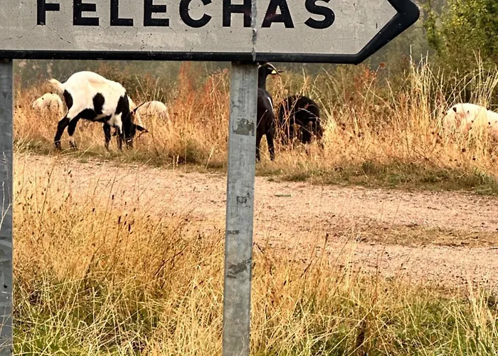 Tres Horreos * Felechas