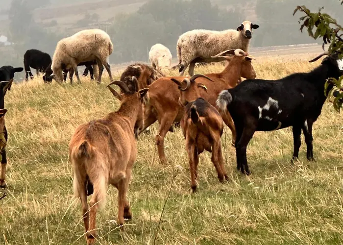 Nyaraló Tres Horreos *