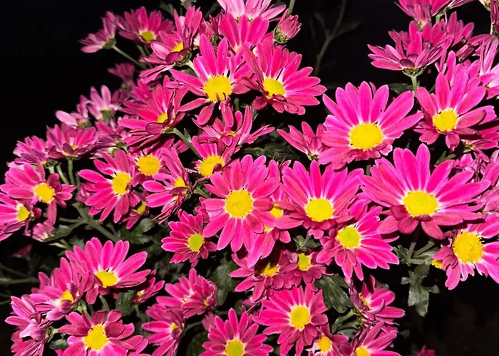 Tres Horreos Nyaraló Felechas