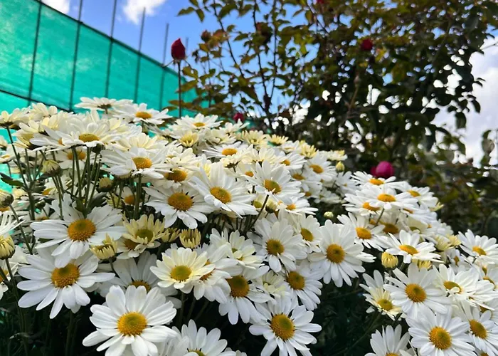 Nyaraló Tres Horreos Felechas