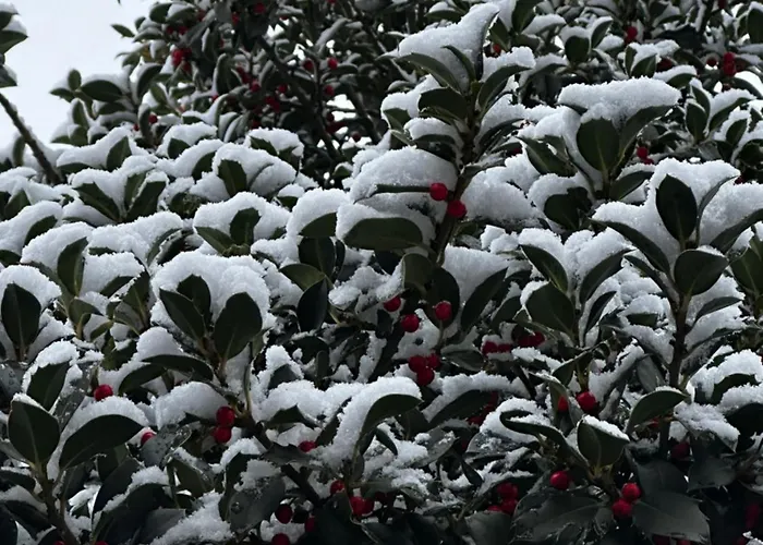 Tres Horreos * Felechas