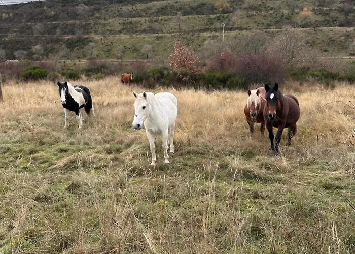 Tres Horreos Nyaraló *