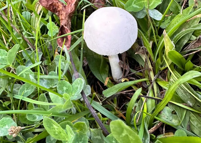 Nyaraló Tres Horreos *